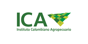 Logo ICA